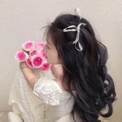 我的女官大人